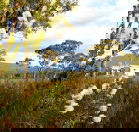 Buttongrass Retreat - Tourism Cairns