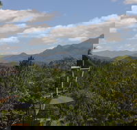 Ecoasis - Tourism Cairns