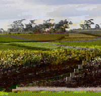 Estate Tuscany - Tourism Cairns