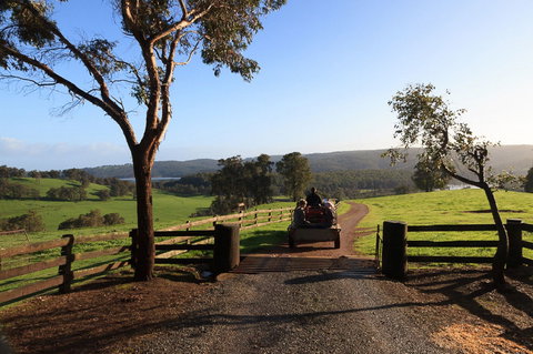 Harvey Hills Farm Stay Chalets - Tourism Cairns 1