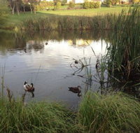 Harewood House Bed and Breakfast - Tourism Cairns