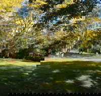 Scenic Rim Adventure Park - Tourism Cairns