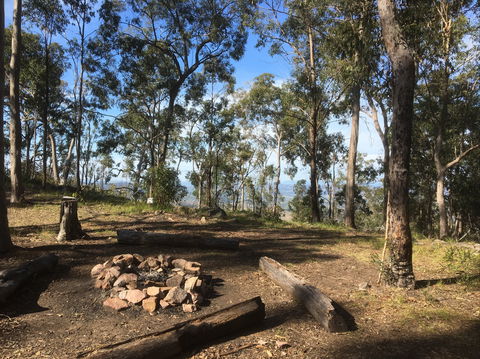 Scenic Rim Adventure Park - Tourism Cairns 1
