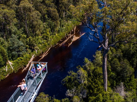 Tahune Adventures Tasmania - Lodge And Cabin - Tourism Cairns 1