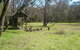 Tin Mines Campground - thumb 0