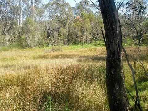 Tin Mines Campground - Tourism Cairns 1