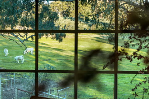 Australia Suite - Tourism Cairns 1