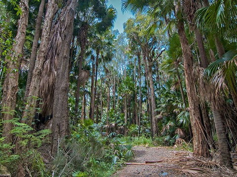 Brambles Green Campground - Tourism Cairns 1