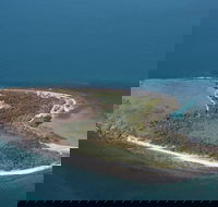 Camp Island Lodge - Tourism Cairns