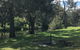 Goomburra Valley Campground - thumb 1