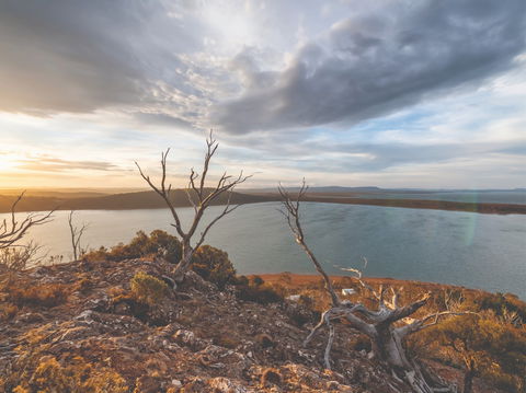 Great Lake Hotel - Tourism Cairns 2
