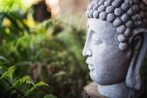 Happy Buddha Retreats - Tourism Cairns 0