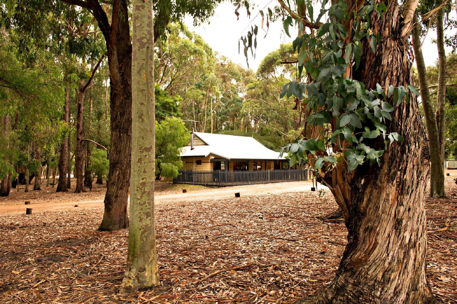 Bramley WA Tourism Cairns