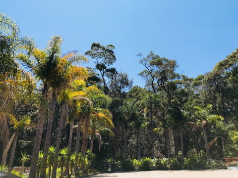 Mollymook Paradise Haven Apartment Motel - Tourism Cairns 2