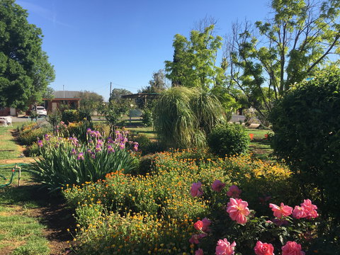 Quirindi Sunflower Motor Inn - Tourism Cairns 2