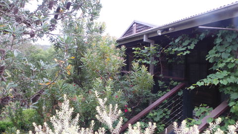 Rachels Retreat - Tourism Cairns 0