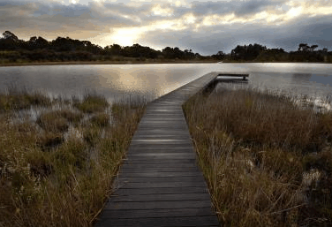 Hidden Valley Forest Retreat - Tourism Cairns 4