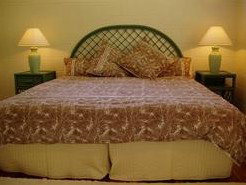 Tatura Retreat - Tourism Cairns 2