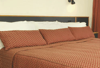 Margarets Forest Holiday Apartments - Tourism Cairns