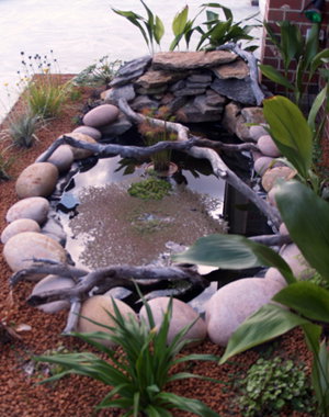 Equal Balance Bed And Breakfast - Tourism Cairns 0