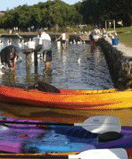 Turner Caravan Park - Tourism Cairns 1