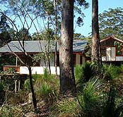 Grass Trees Escape - Tourism Cairns