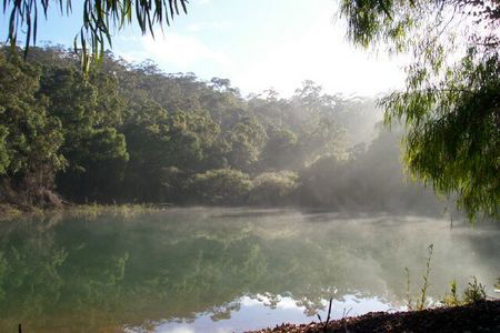 Karri Valley Chalets - Tourism Cairns 2