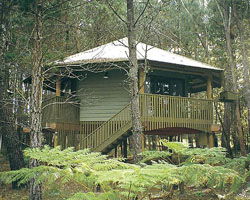 Possums Hideaway - Tourism Cairns 0