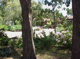 Peaceful Bay Bed And Breakfast - Tourism Cairns 0