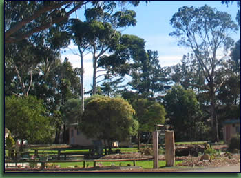 Kalgan River Chalets And Caravan Park - Tourism Cairns 0