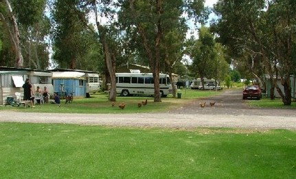 Harvey Rainbow Caravan Park - Tourism Cairns 0