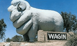 Wagin Motel - Tourism Cairns 0