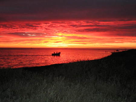Pelicans Landing - Tourism Cairns 4