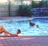 Shark Bay Caravan Park - Tourism Cairns