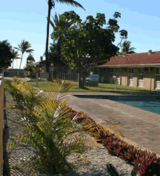Best Western Hospitality Inn Carnarvon - Tourism Cairns 7