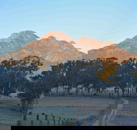 Barney Creek Vineyard Cottages - Tourism Cairns