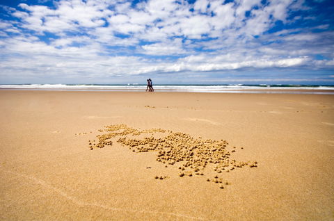 BIG4 Nambucca Beach Holiday Park - Tourism Cairns 1