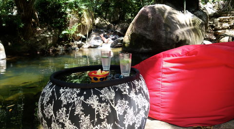 Daintree Secrets Rainforest Sanctuary - Tourism Cairns 1