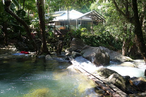 Daintree Secrets Rainforest Sanctuary - Tourism Cairns 2