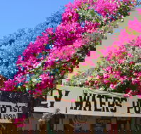 Daly Waters Historic Pub - Tourism Cairns