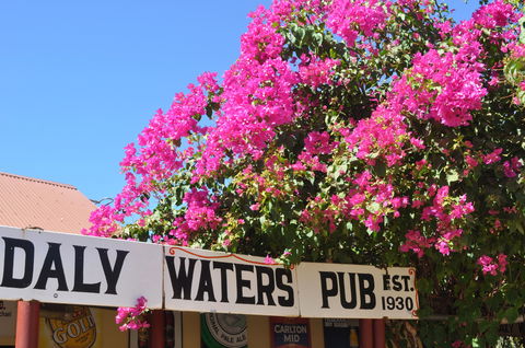 Daly Waters Historic Pub - Tourism Cairns 0