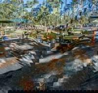 Dashville - Tourism Cairns