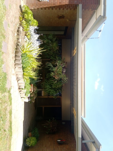 Hilltop Escape B&B - Tourism Cairns 0