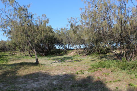 K'gari (Fraser Island) Camping, Great Sandy National Park - Tourism Cairns 1