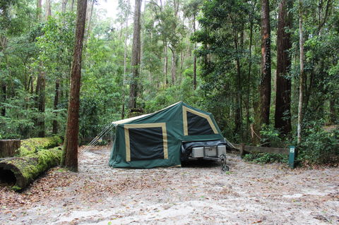 K'gari (Fraser Island) Camping, Great Sandy National Park - Tourism Cairns 2