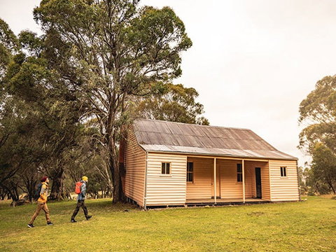 Long Plain Hut Campground - Tourism Cairns 2