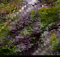 Nimbin Waterfall Retreat - Tourism Cairns