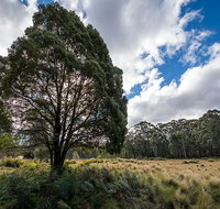 Nunnock campground - Tourism Cairns