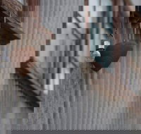 Our Little Gem B B - Tourism Cairns