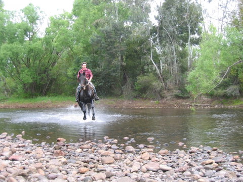 Ribbonwood Cottages - Tourism Cairns 2